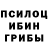 Галлюциногенные грибы мухоморы Markuss Kilbloks