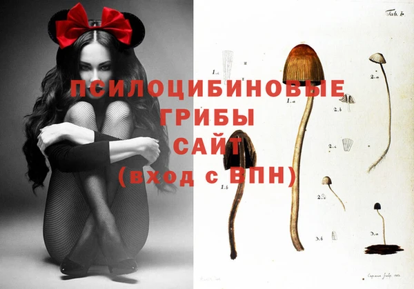соль ск Арсеньев